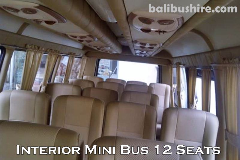 Sewa Kereta ELF 12 Seats di Bali